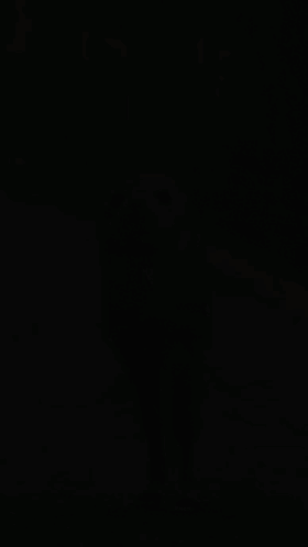 D GIF. This 280 x 498 animated GIF is part of our weird collection. Created by danonesxz. View the original animation, share it, or browse related GIFs.