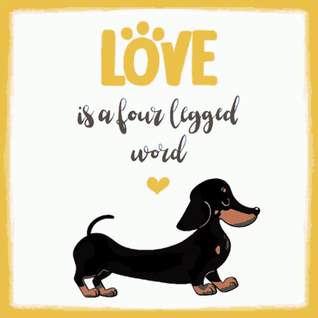 Dachs GIF