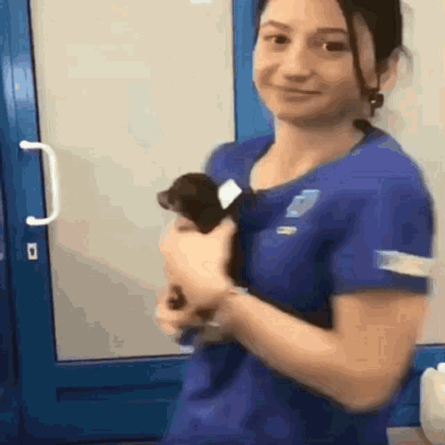 Dachshund Happy GIF