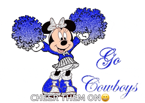 Dallas Cowboys Go Cowboys GIF