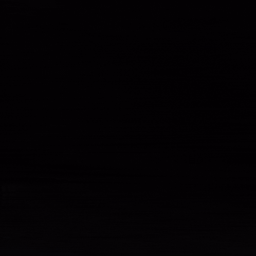 Damn Bird Legs GIF