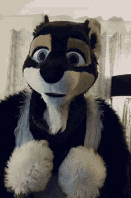 Dan GIF