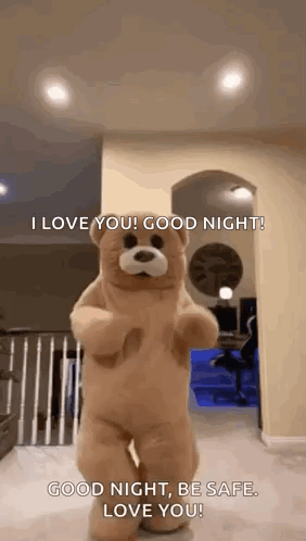 Dance Bear Teddy GIF