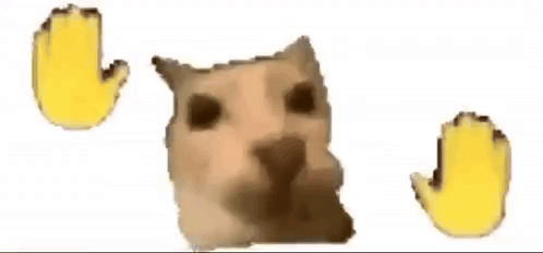 Dance Cat Dance Cat Hands GIF