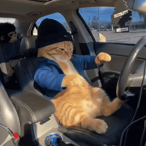 Dance Dance Dance Cute GIF