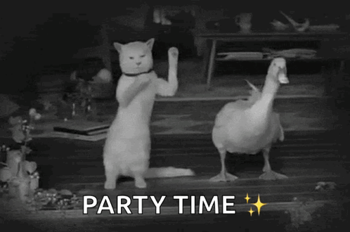 Dance Dancing GIF. This 498 x 330 animated GIF is part of our geburtstag katzen collection. Related themes include cat, dance, dancing. Created by…