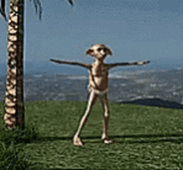 Dance Dobbi GIF