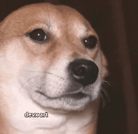 Dance Dog GIF