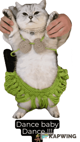 Dance Happy Dance GIF