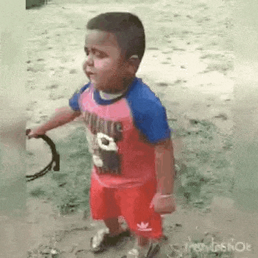 Dance Happy Dance GIF