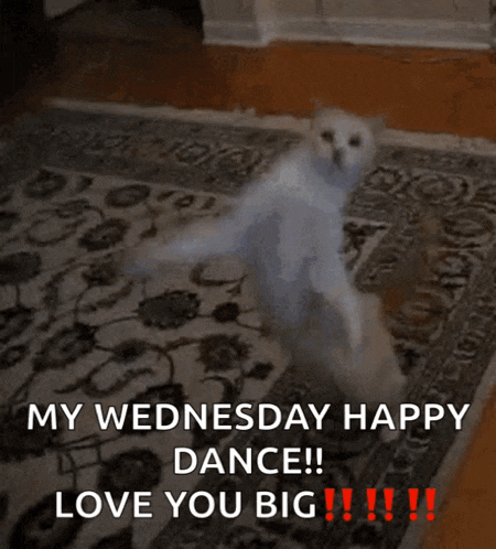 Dance Happy GIF