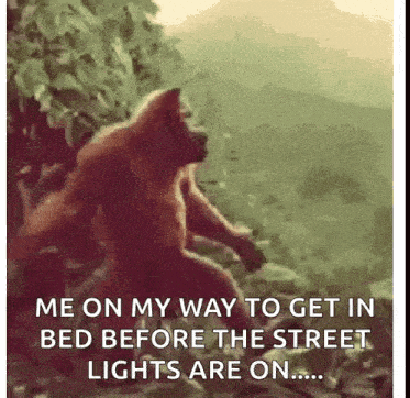 Dance Monkey Dancing GIF