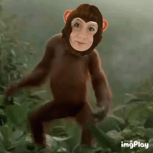 Dance Monkey GIF