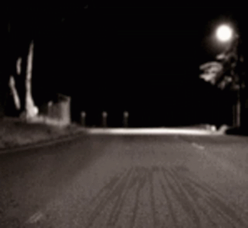 Dance Raccon GIF