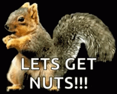 Dance Squirrel GIF. This 498 x 398 animated GIF is part of our funny squirrel collection. Related themes include dance, dancing, funny. Created by…