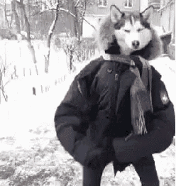 Dance Winner GIF