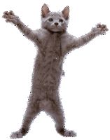 Dance Sticker