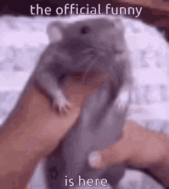Dance GIF