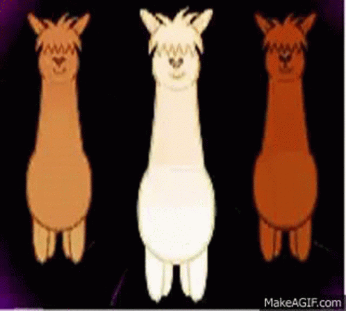 Dancing Alpaga GIF. This 498 x 448 animated GIF is part of our lama collection. Related themes include dancing. Created by LauraChoukroun. View the original…