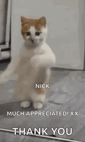 Dancing Cat Dance GIF