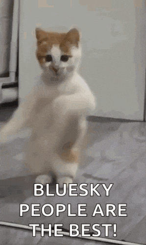 Dancing Cat Dance GIF