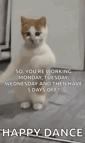 Dancing Cat Dance GIF