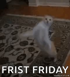 Dancing Cat GIF