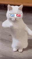 Dancing Cat GIF