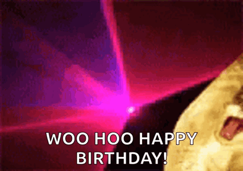 Dancing Cats GIF