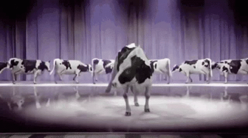 Dancing Cow Cow GIF