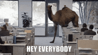 Dancing Dance GIF