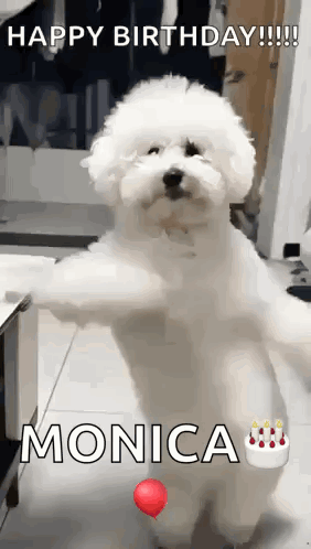 Dancing Dog GIF
