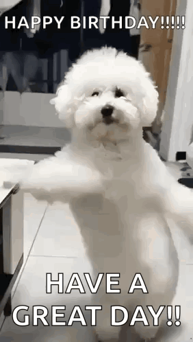 Dancing Dog GIF