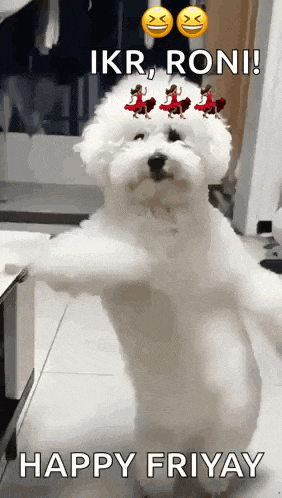 Dancing Dog GIF
