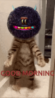 Dancing Gm GIF