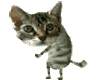 Dancing Kitty Dance Sticker