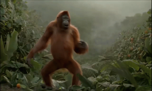 Dancing Monkey GIF