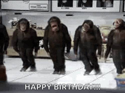 Dancing Monkeys GIF