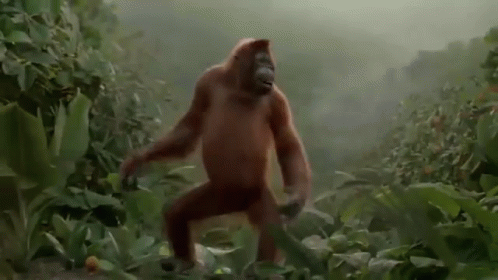 Dancing GIF
