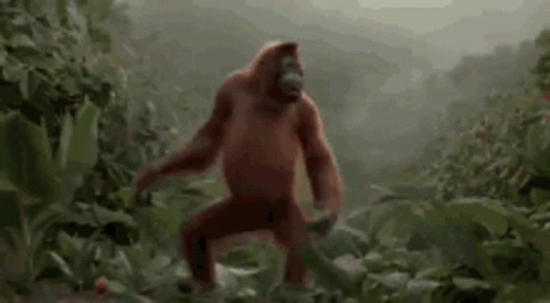Dancing Orangutan Monkey GIF