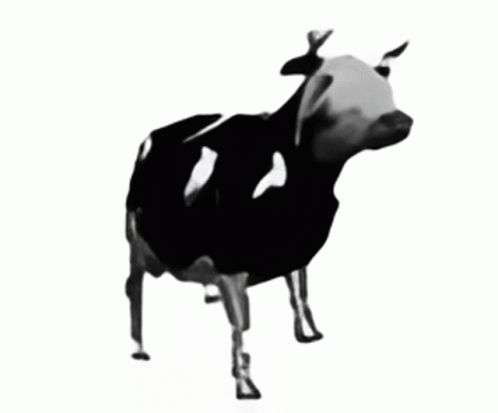 Dancing Polish GIF