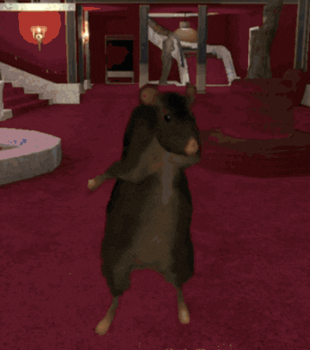 Dancing Rat Dance GIF