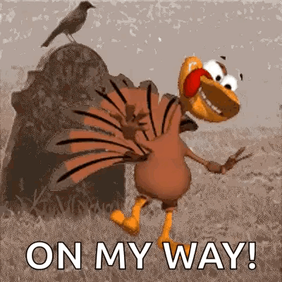 Dancing Turkey Turkey Dance GIF