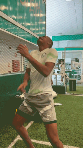 Dancinha Comemorando GIF