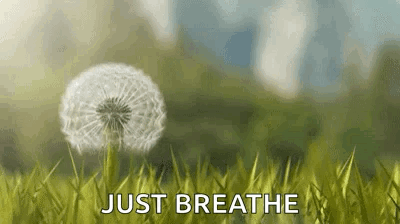 Dandelion GIF