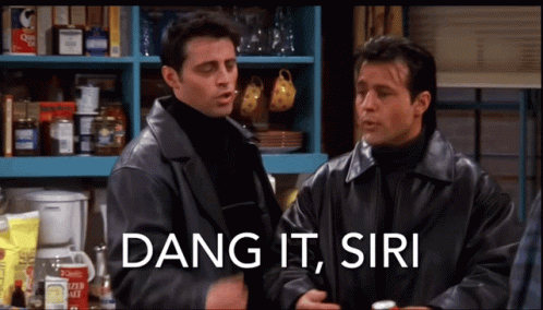 Dang It GIF
