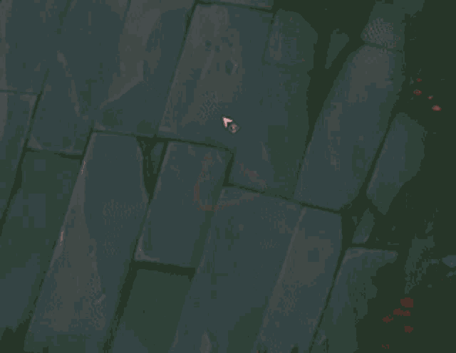 Danger GIF
