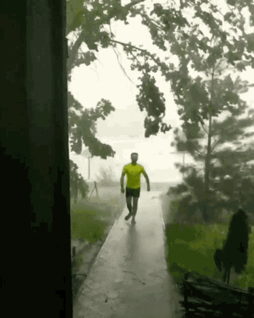 Daniel Amro Dani Amro GIF