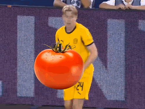 Daniel Svensson Tomato GIF