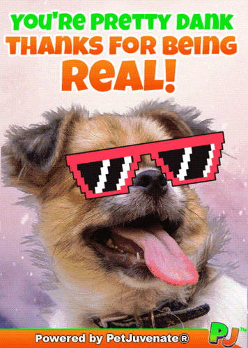 Dank Funny Thank You Petjuvenate Pj Gif Petjuvenate Pj GIF